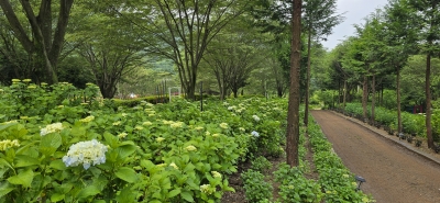 대표사진