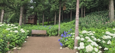 대표사진